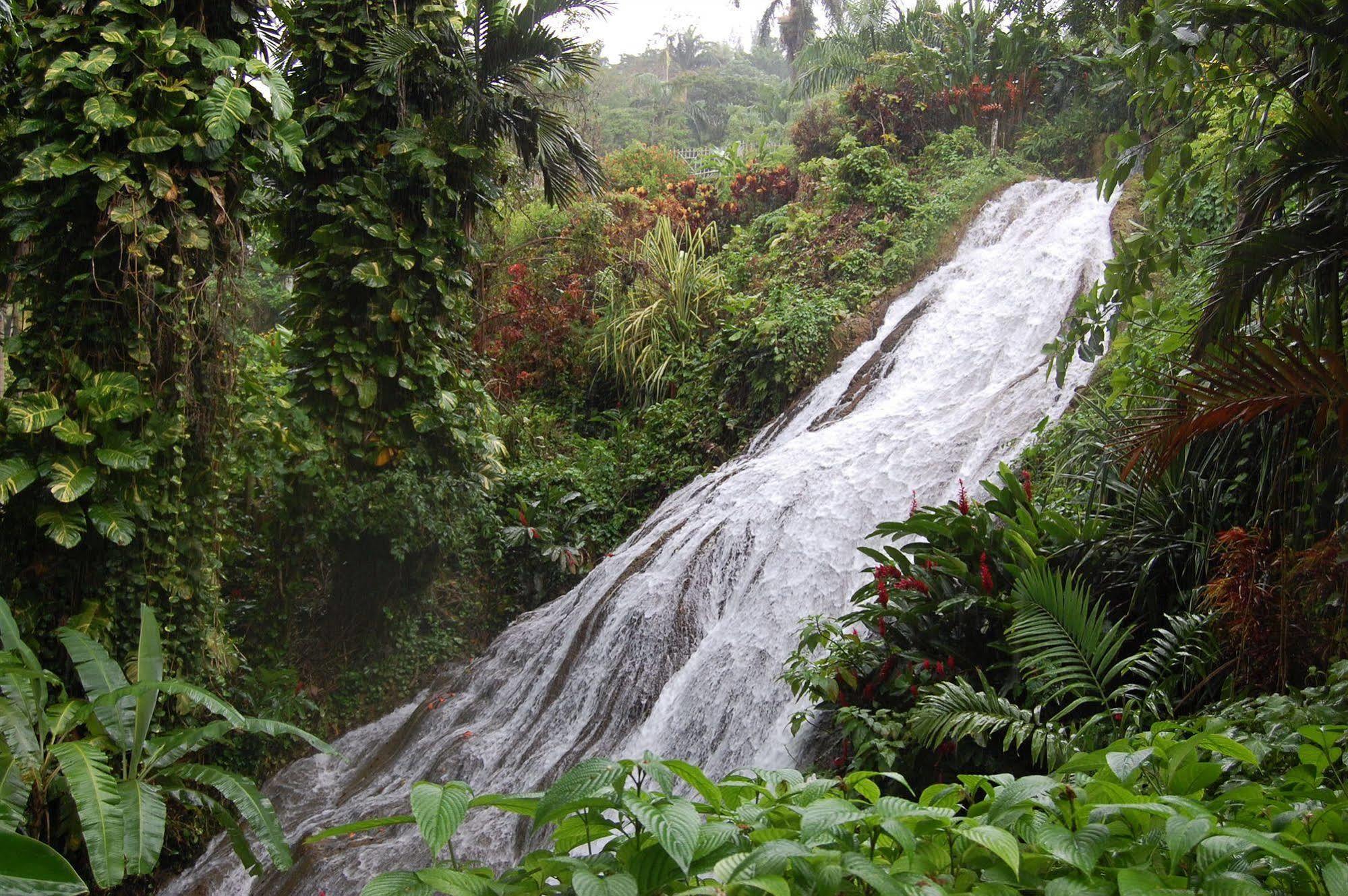 Inn At Shaw Park Gardens & Waterfalls Ocho Rios Bagian luar foto